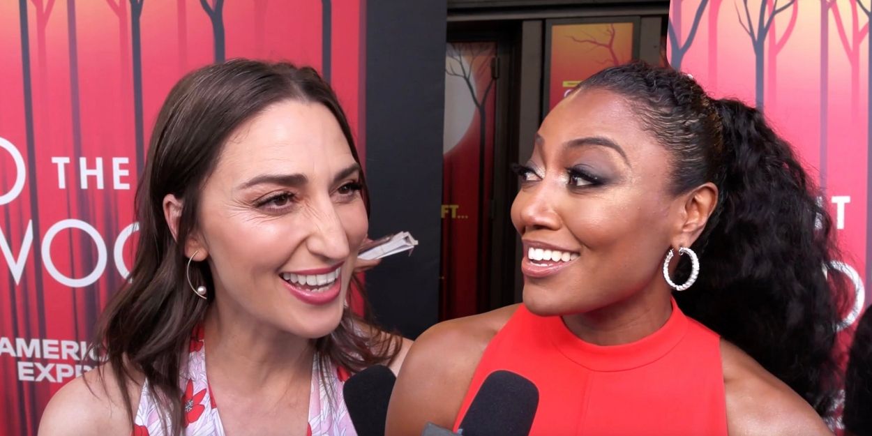 VIDEO: INTO THE WOODS Cast Struts the Red Carpet on Opening Night Video