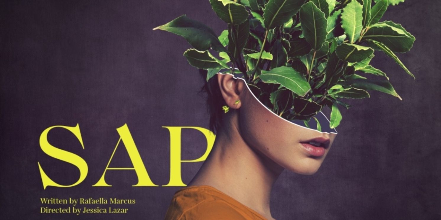 Review: SAP, Summerhall  Image