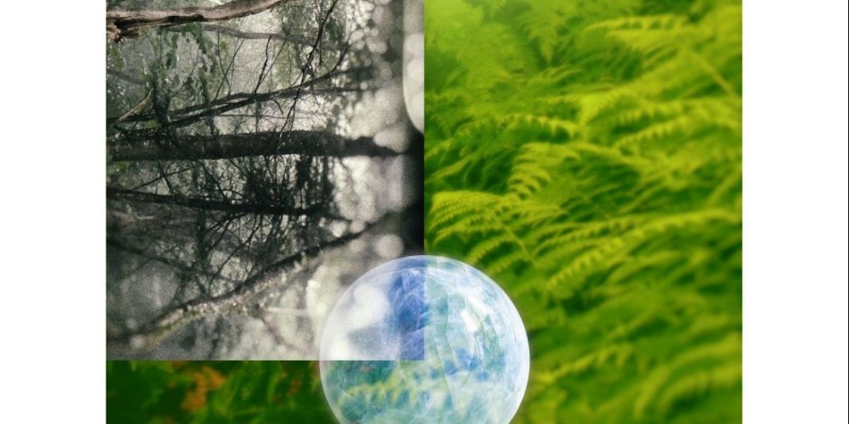PRIVATE EARTH An Eclectic, Worldly, And Ethereal New Age Album From Carlos Dengler Out Now