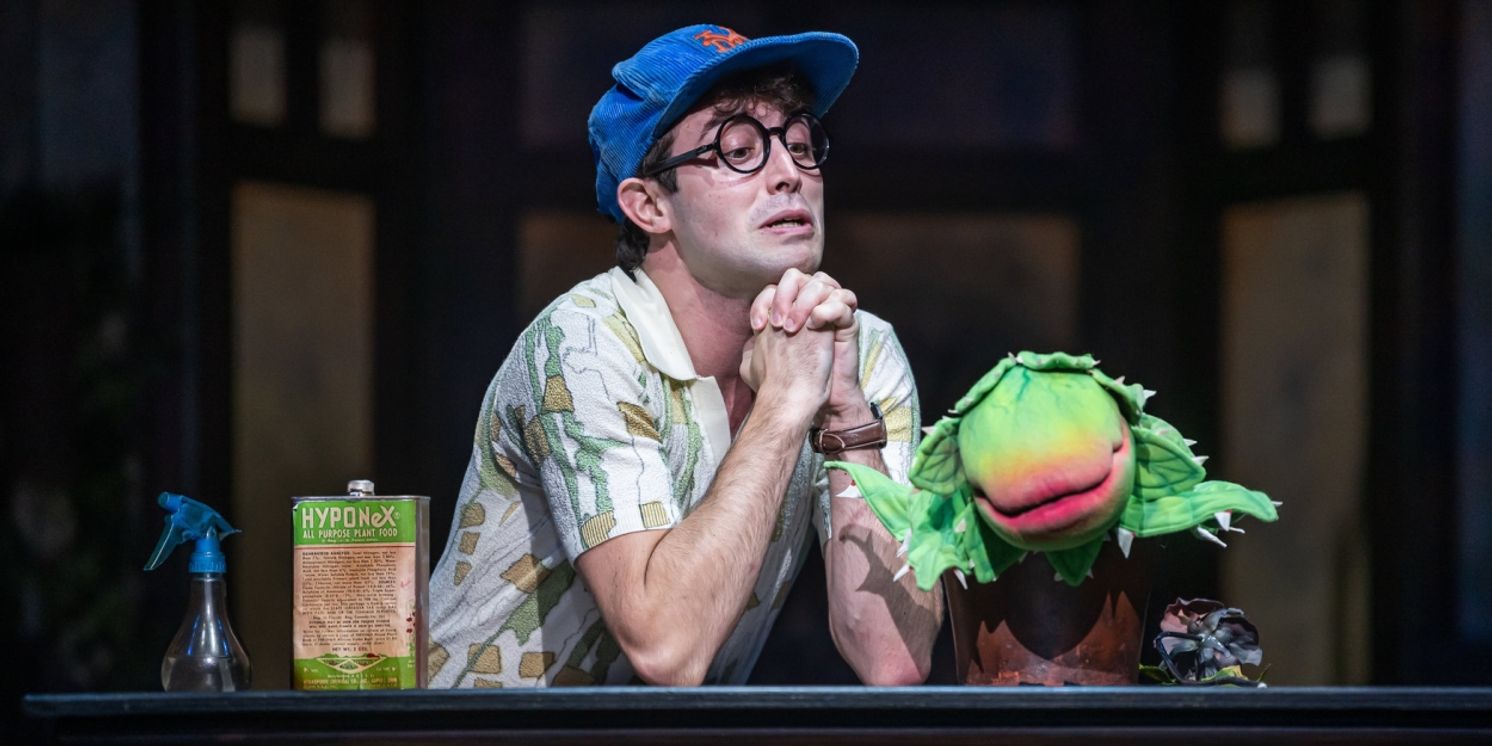 Review: LITTLE SHOP OF HORRORS at Great Lakes Theater  Image
