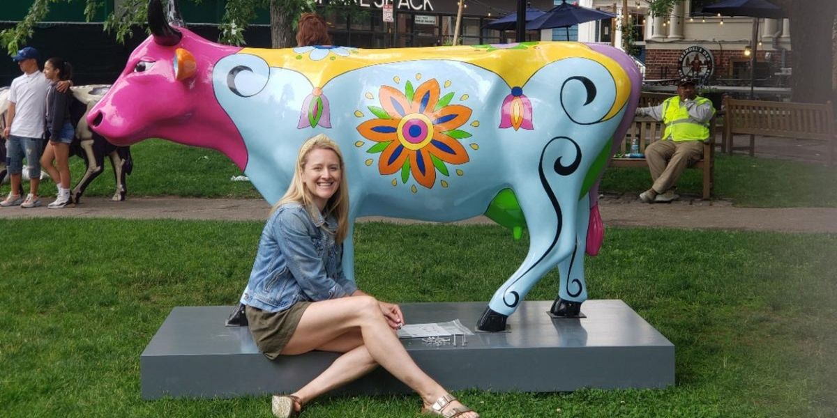 CowParade New England Comes To Harvard Square