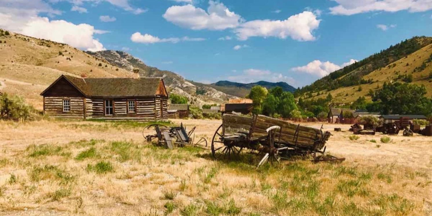 Review: COWBOY CAT: THE MUSICAL! at Mixed Blood Theatre  Image