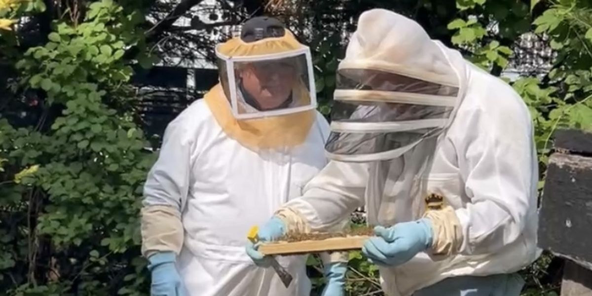 The Latest Buzz in Atlantic Highlands