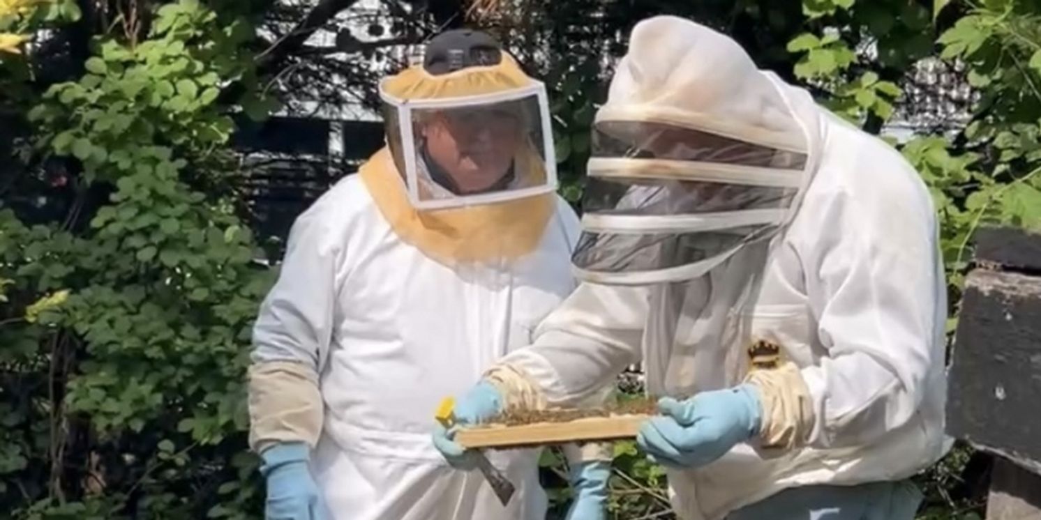 The Latest Buzz in Atlantic Highlands  Image