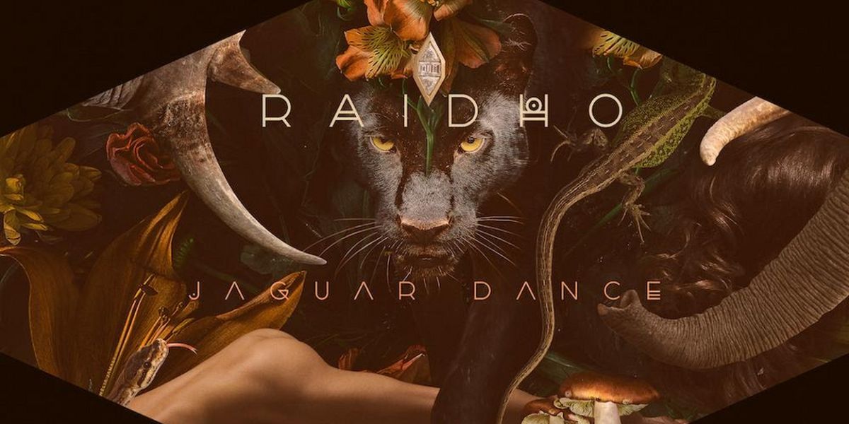 AMEME & NenaHalena Drop Remix of Raidho & T.Etno's 'Jaguar Dance'