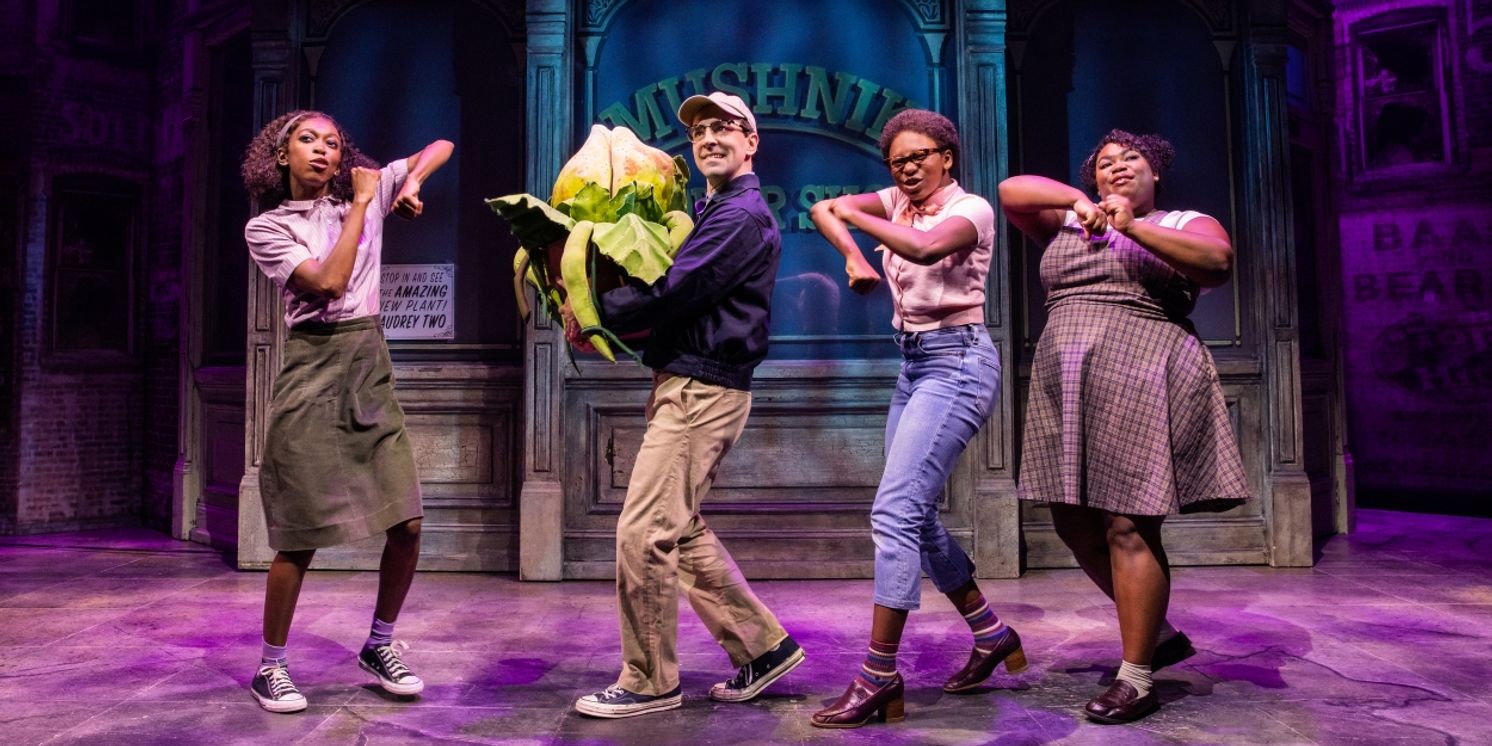 Rob McClure to Miss LITTLE SHOP OF HORRORS Performances After Testing Positive for Covid  Image