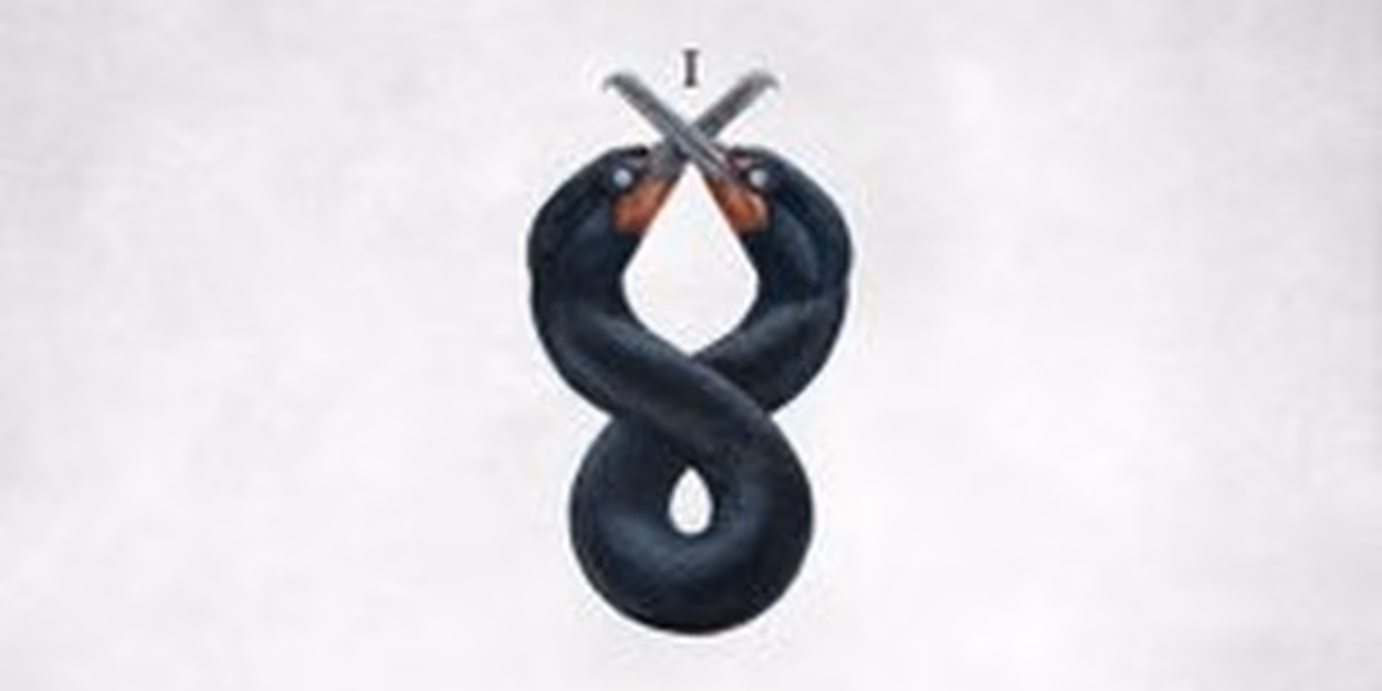 San Fermin Announce New Album THE CORMORANT I Video