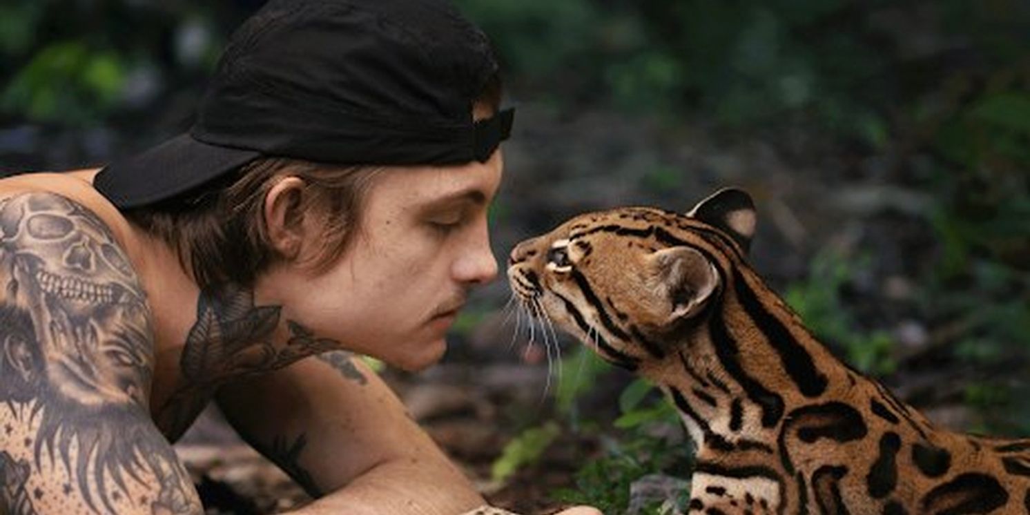 Fleet Foxes Release 'A Sky Like I've Never Seen' Featuring Tim Bernardes  Image