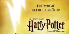 Markus Schöttl of HARRY POTTER AND THE CURSED CHILD at Mehr! Theater Am Großmarkt