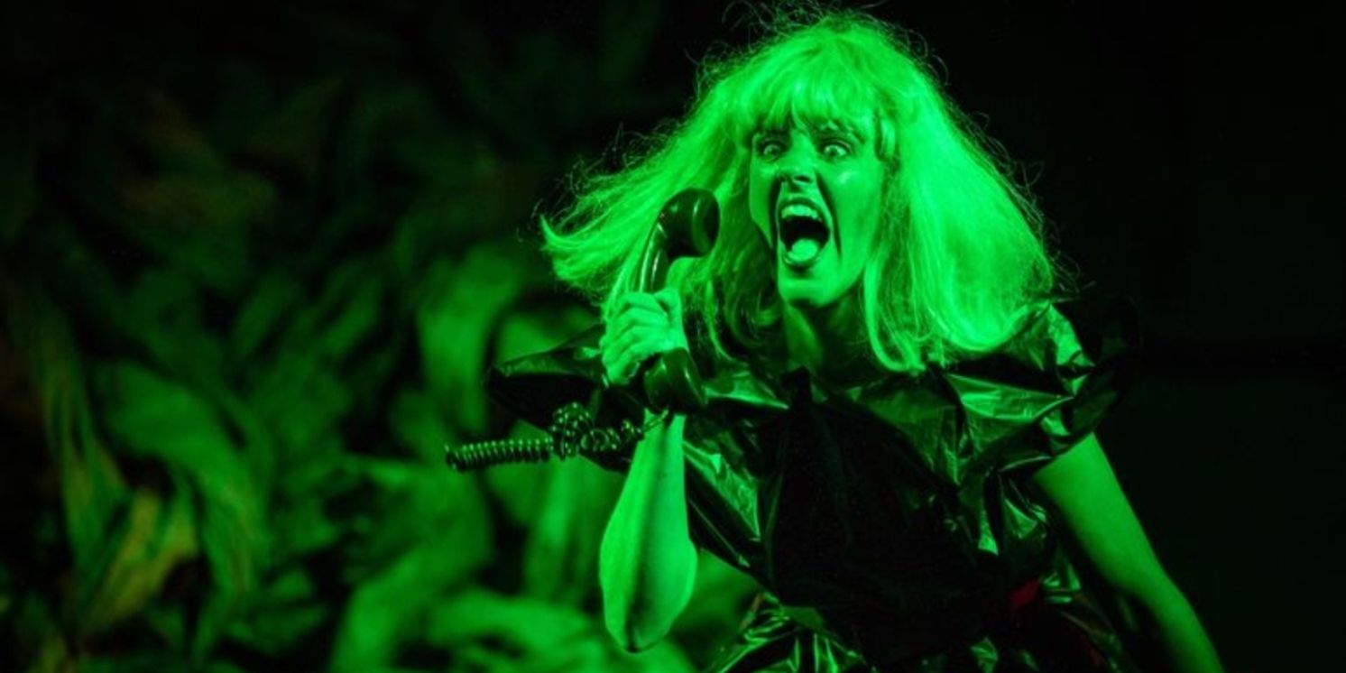 Review: HAPPY GO WRONG at Space Theatre, Adelaide Festival Centre  Image