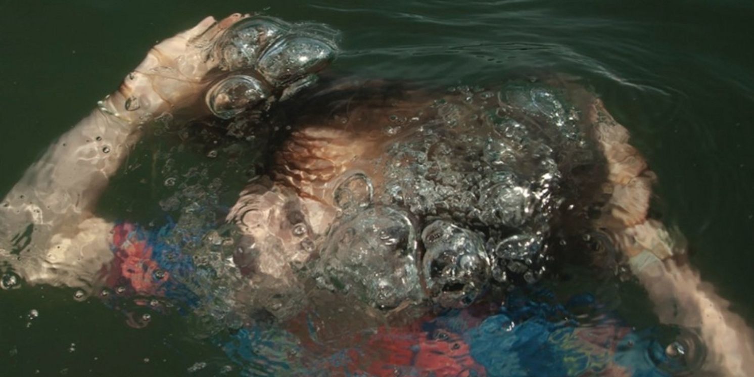 Chris Cubeta Announces 'APOE' LP & New Single 'Vicious'  Image