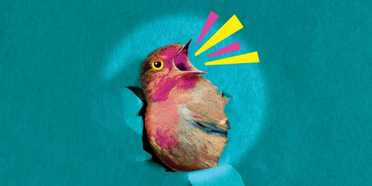 Pearl Sun, Kristine Nielsen & More to Star in REGRETFULLY, SO THE BIRDS ARE World Premiere at Playwrights Horizons