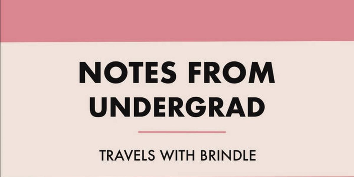 Travels With Brindle to Release New Album NOTES FROM UNDERGRAD in June
