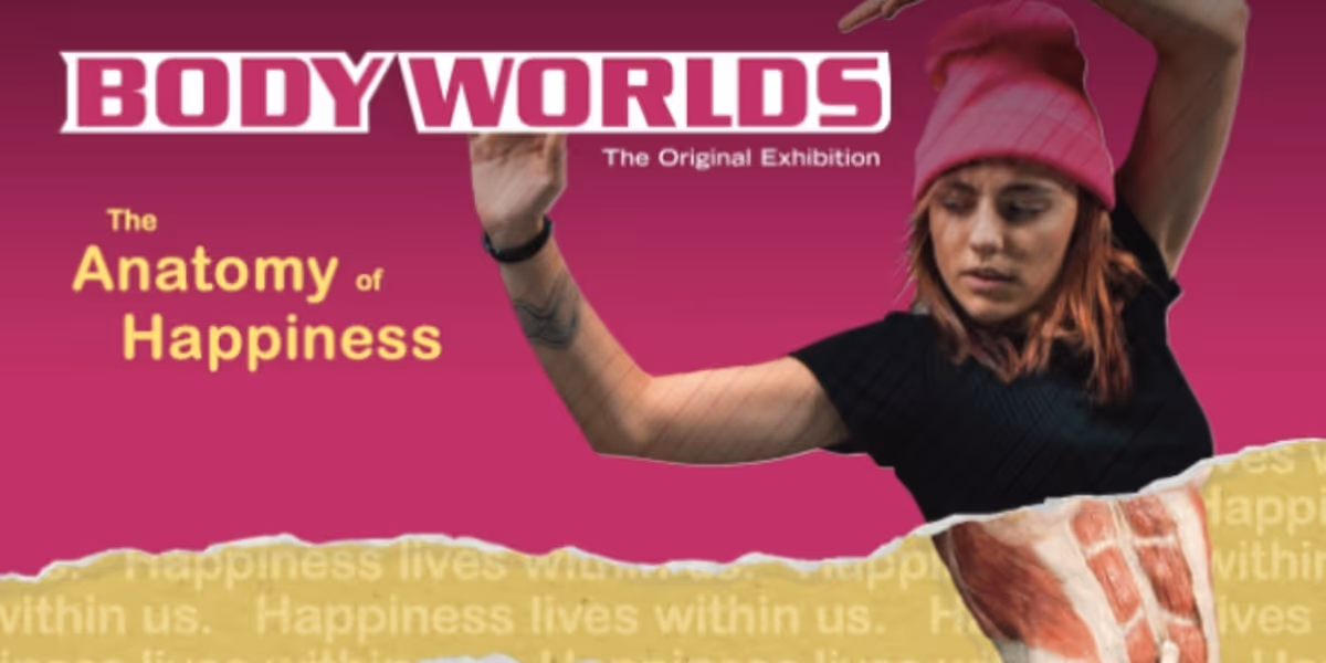 BODY WORLDS: The Anatomy Of Happiness Will Make its North American Debut in July