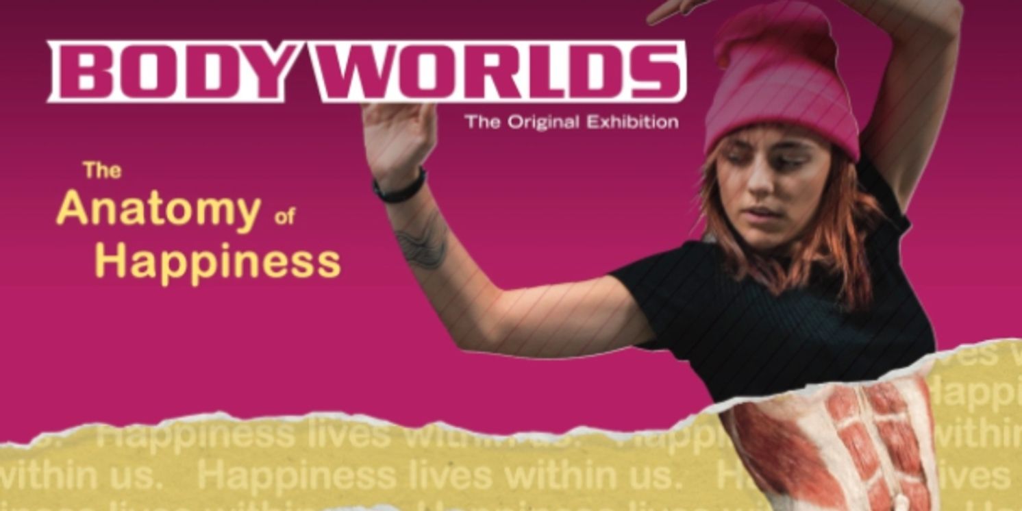 BODY WORLDS: The Anatomy Of Happiness Will Make its North American Debut in July  Image