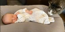 At Home With Susie Mosher And Her (Finally) Complete Family