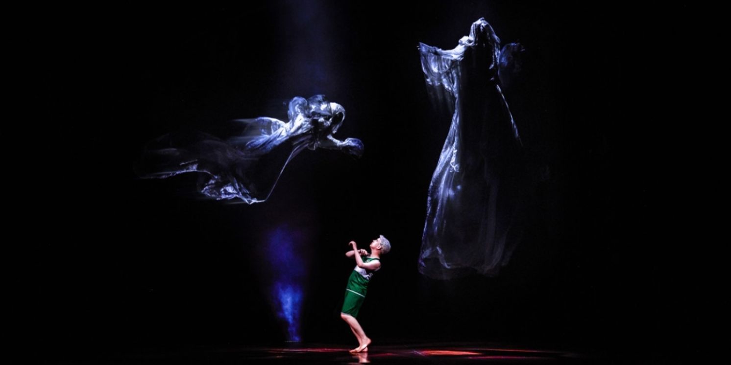 HARRY POTTER AND THE CURSED CHILD Announces Final Melbourne Extension  Image