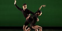 Interview: Catching Up with Ethan Stiefel, Artistic Director of American Repertory Ba