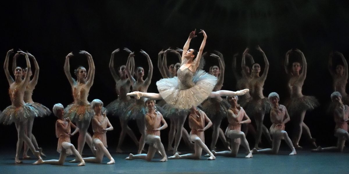 Review: AMERICAN BALLET THEATRE'S 'DON QUIXOTE'  at Kennedy Center