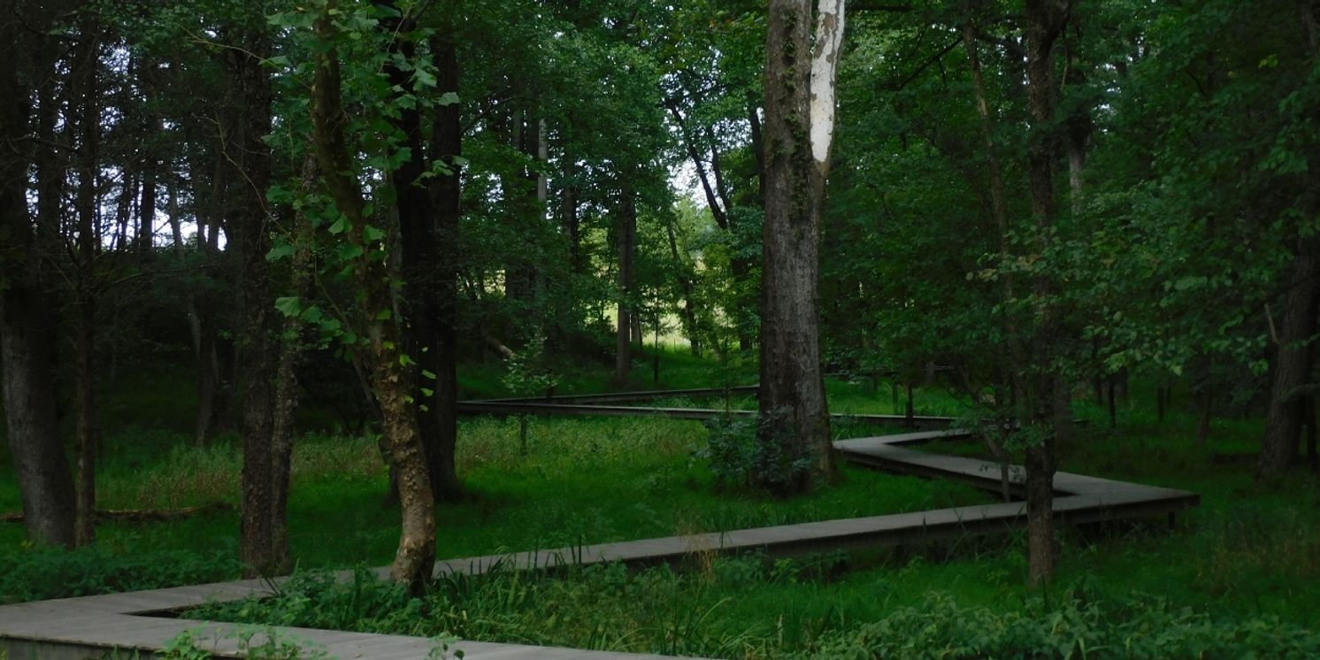 Student Blog: Starting Anew in the Semester  Image