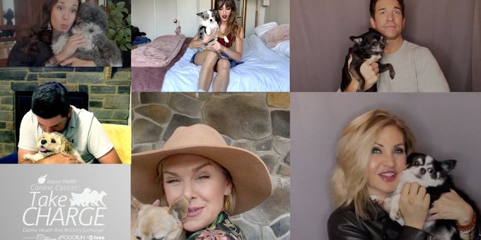 VIDEO: Billy Porter, Andy Karl, Orfeh, and More Debut 'It Had to Be You' to Raise Awareness About Canines With Cancer