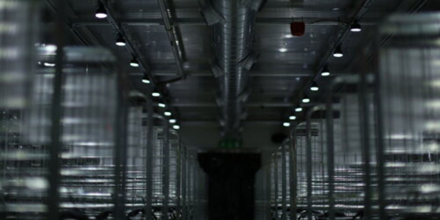 Edinburgh 2022: Review: EULOGY, Summerhall  Image