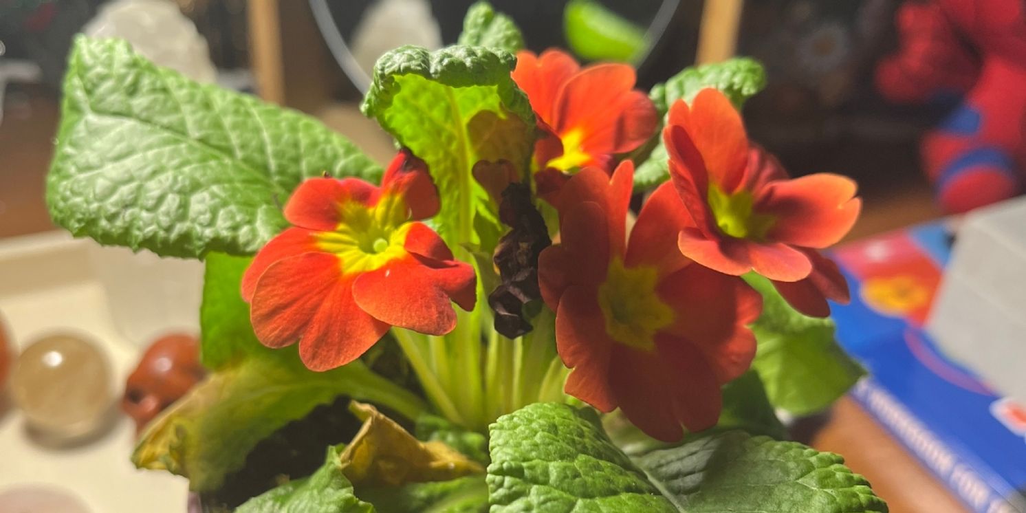 Student Blog: Out-Let Yourself Go  Image