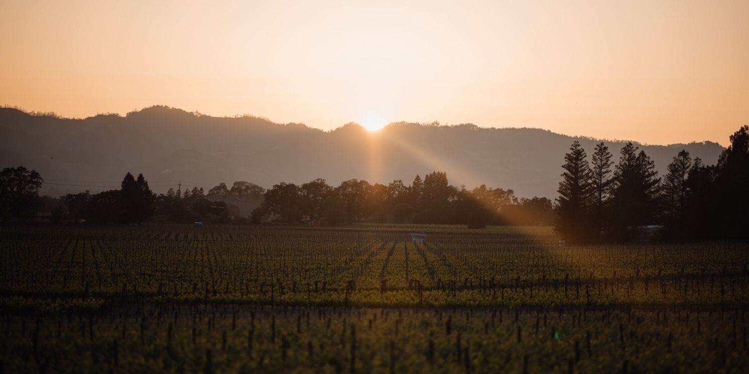 Dates Announced for Live In The Vineyard 2022 and Live In The Vineyard Goes Country 2023  Image