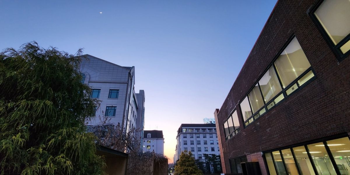 Student Blog: Back to School: University Life is Back to Normal