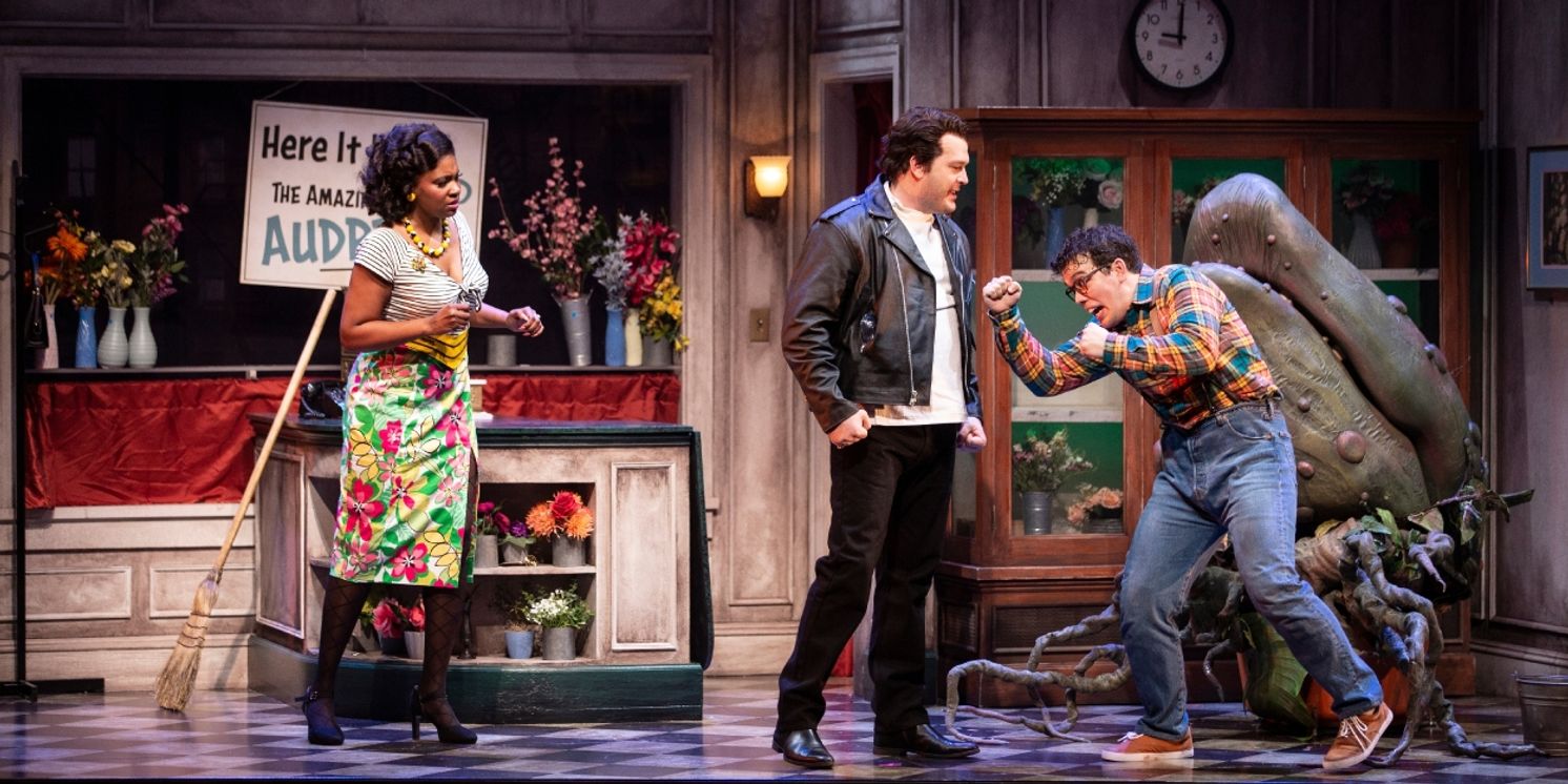 Review: LITTLE SHOP OF HORRORS at Village Theatre  Image