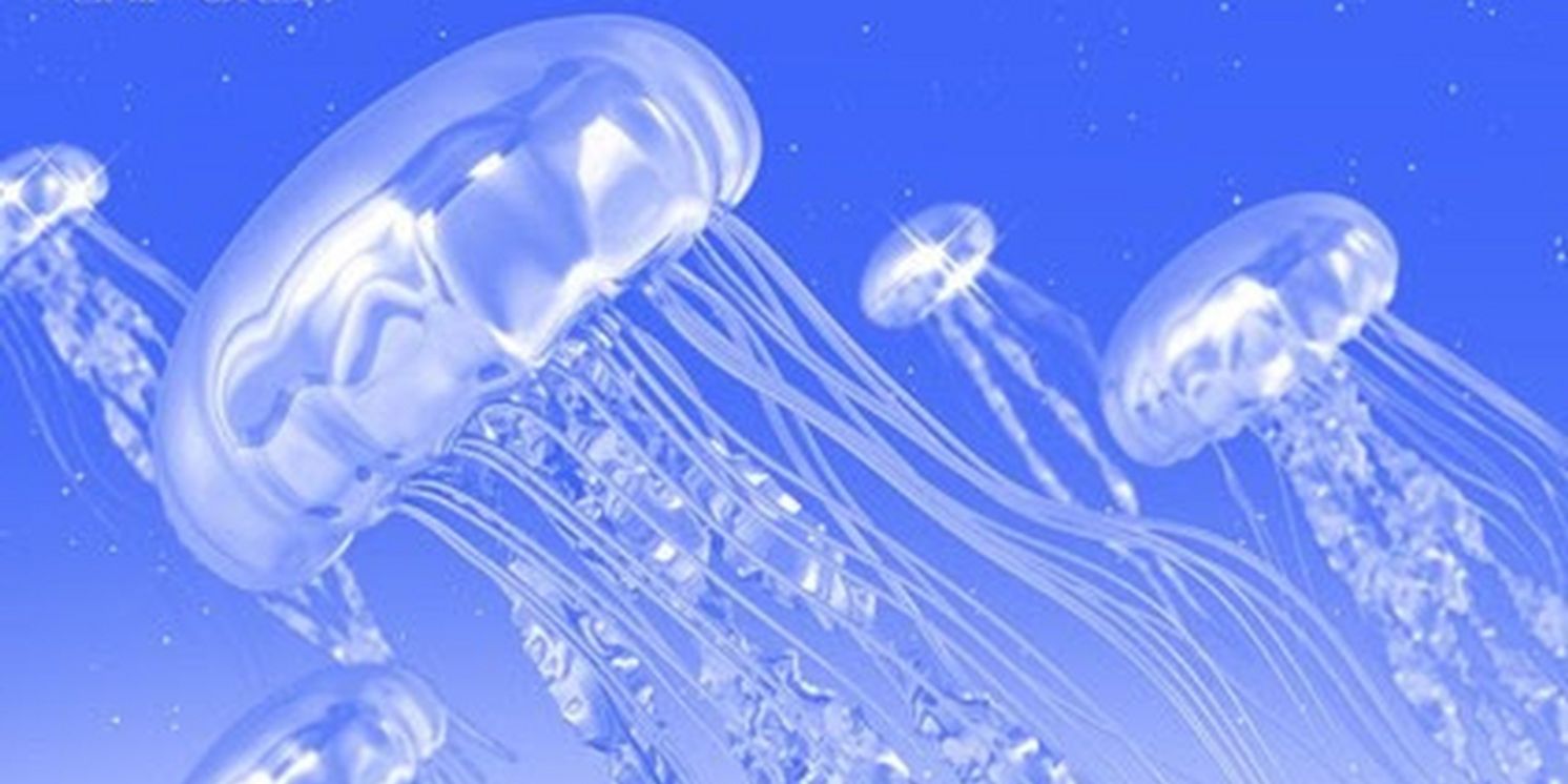 Ship Wrek Share New Single 'Over & Over'  Image