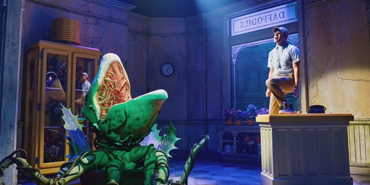 Jeremy Jordan Will Return to LITTLE SHOP OF HORRORS This Summer  Image