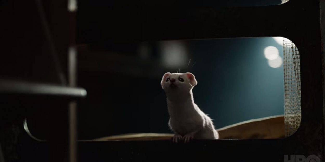 VIDEO: Watch a Clip from HIS DARK MATERIALS on HBO Video