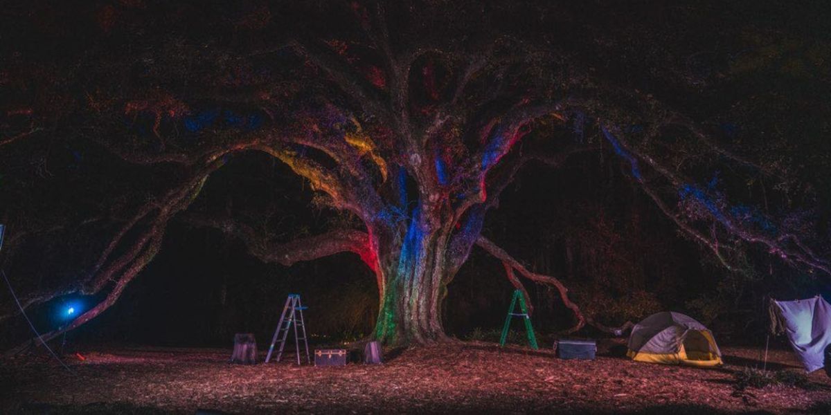 Review: INTO THE WOODS at Lichgate