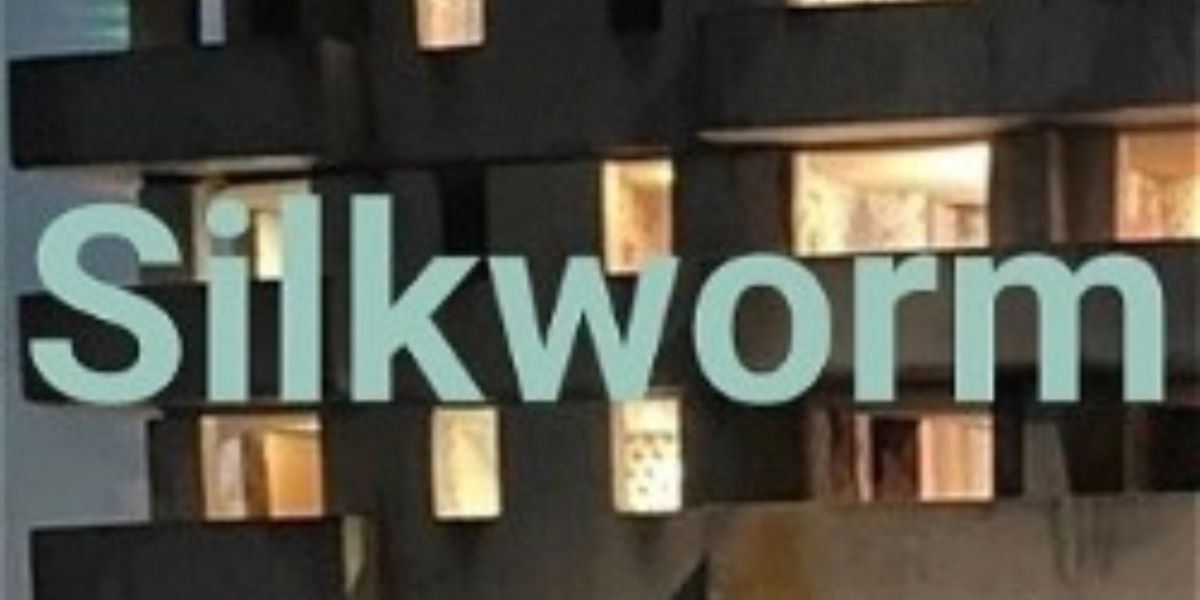 Edinburgh 2022: Review: SILKWORM, Assembly Roxy - Upstairs