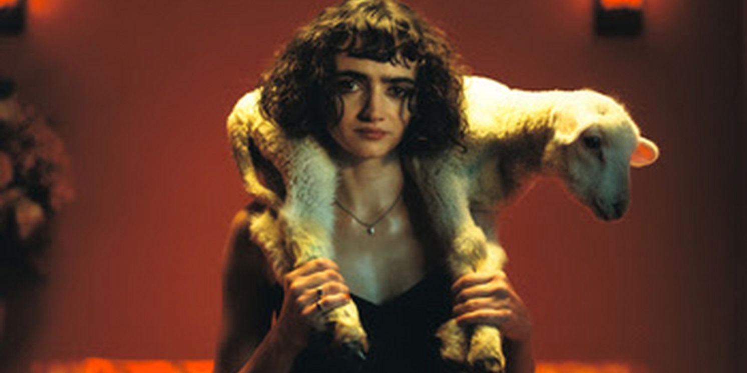 Sir Chloe Confirms Extensive Tour & Debut Album 'I Am the Dog'  Image