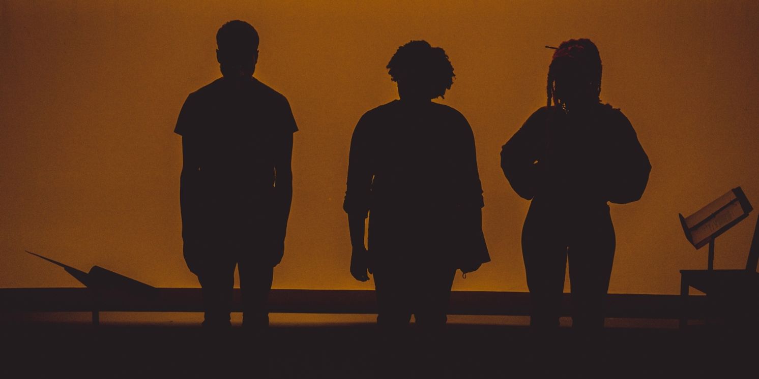 Register Now To Stream Five Plays From The 45th Annual Bay Area Playwrights Festival  Image