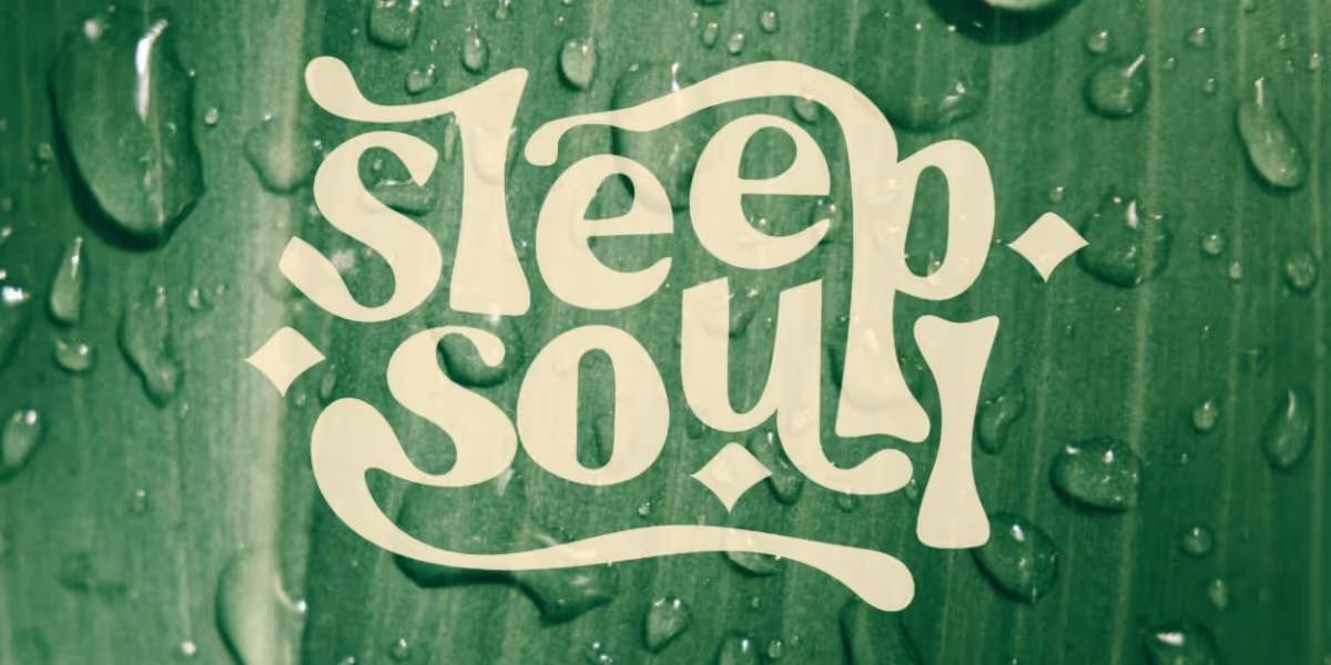Jhené Aiko Presents 'Sleep Soul: Relaxing Nature & Rain Sounds With Green Noise'