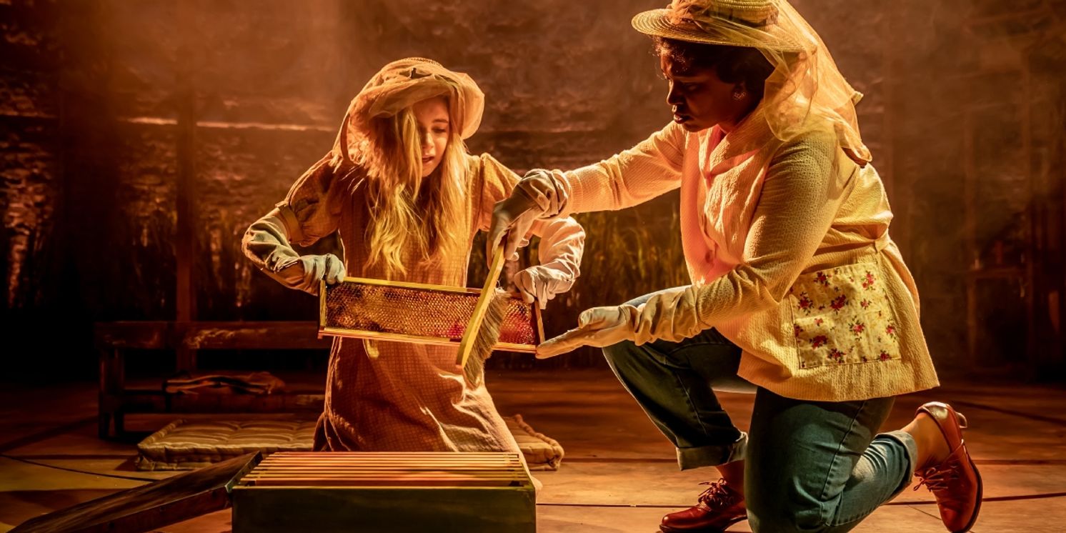Review: THE SECRET LIFE OF BEES, Almeida Theatre  Image