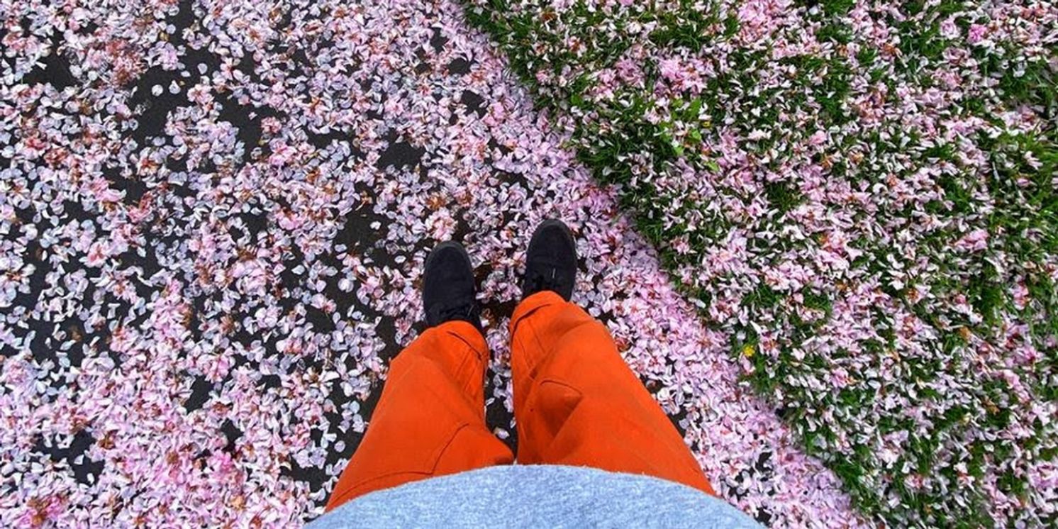 sadeyes Releases Lofi EP 'downpour II'  Image