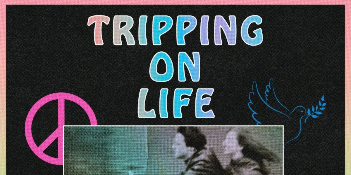 Lin Shaye to Debut Solo Show TRIPPING ON LIFE at The Hollywood Fringe in June