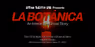 Step Inside La Botánica...If You Dare at Latine Theater Lab
