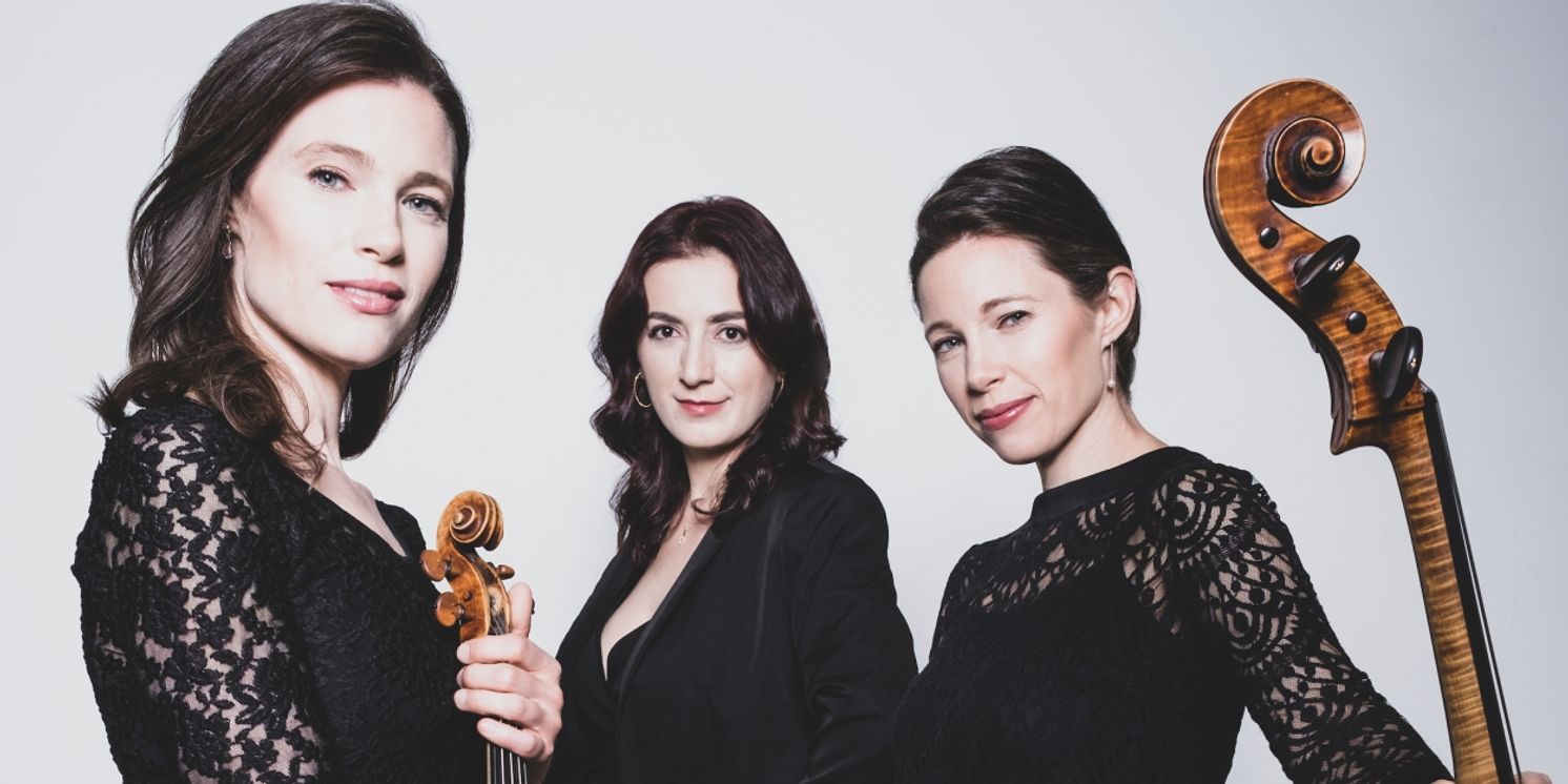 Princeton Festival Reveals Lineup For Weeknights  Image