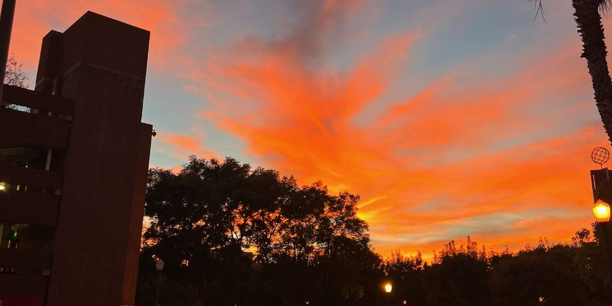 Student Blog: Burnt from Burnout