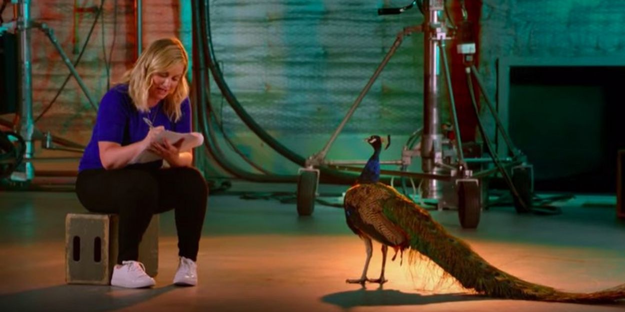 VIDEO: NBC Releases 'Peacock Knows Comedy' Featurette Video