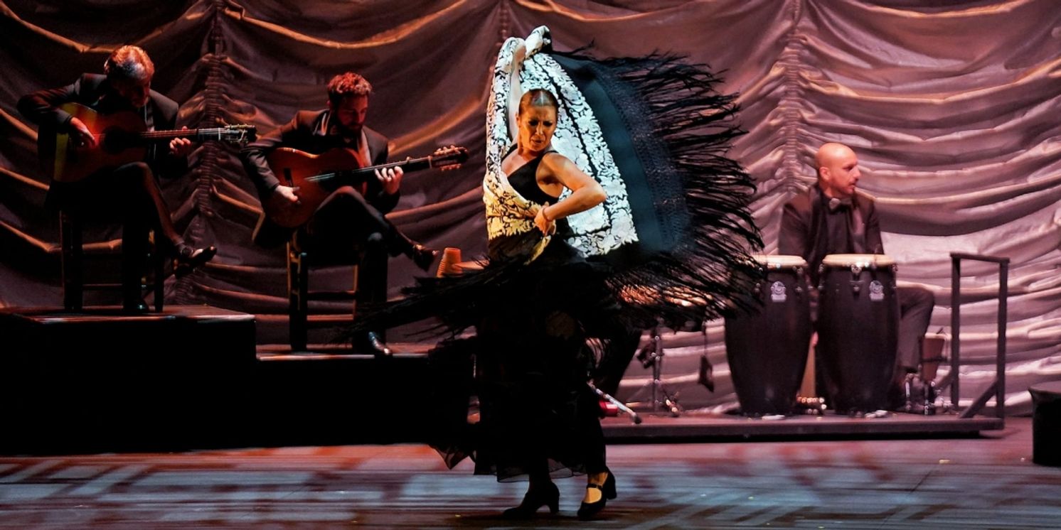 Review: BALLET FLAMENCO SARA BARAS: ALMA at Kennedy Center  Image