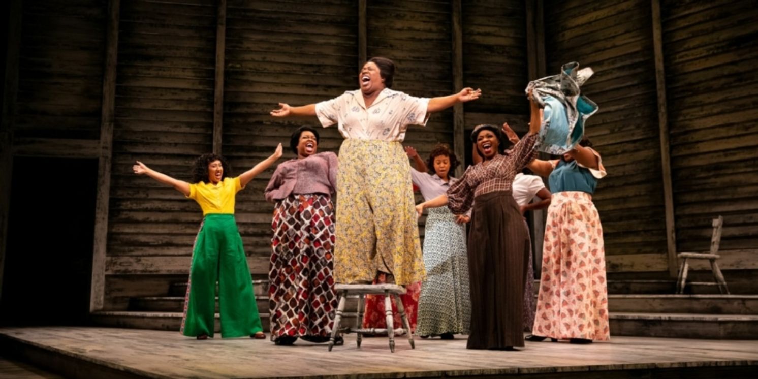 Review: THE COLOR PURPLE Is Excellently Black at DCPA Theatre Company  Image