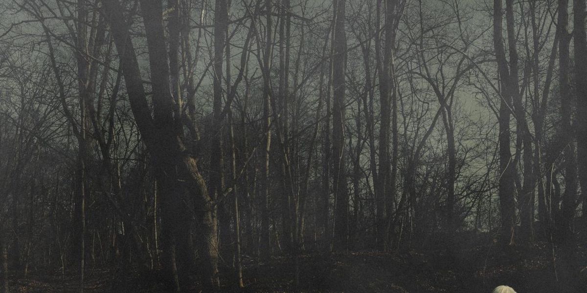156/SILENCE Releases New Album FROM A DISTANCE Via Pure Noise Records