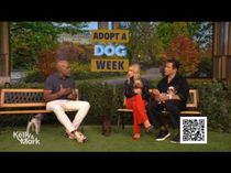 Dr. Will Draper Shares Tips on Picking the Right Dog for Your Lifestyle