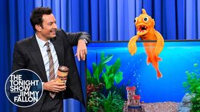 Jimmy Fallon Feeds and Chats With Tonight Show's Pet Fish
